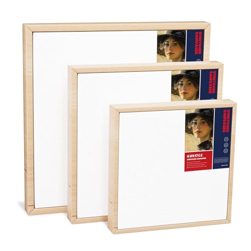 HANSILK 3pk 4 * 4/6 * 6/8 * 8 Inch Blank Framed Canvas Wall Art - Premium White Cotton Canvas Panel for DIY Painting, Custom Art, Home Decor - Ready to Hang, Pre-Stretched Wood Frame -3pcs - size: 4*4/6*6/8*8