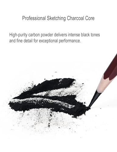 Professional Drawing Charcoal Pencils Set, 10 Piece Art Supplies with Soft Medium Hard for Sketching,Charcoal Art,Drawing Charcoal Pencils for Sketching,Art Supplies(soft 10 Piece)