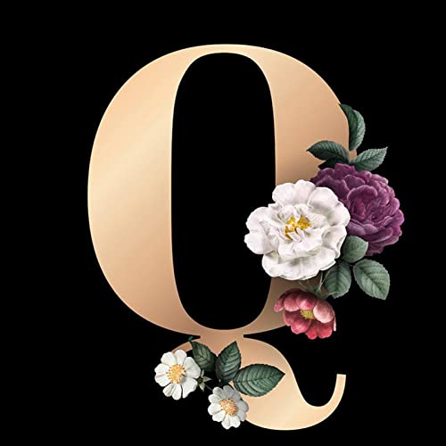 JATOK Diamond Painting Kit for Adults, Letter Q, 11.8 x 11.8 in | Full Round Drills Diamond Art Kits for Beginners, customize own alphabet, DIY Gem Art and craft Kits with Complete Tools - color: Quartz Gray