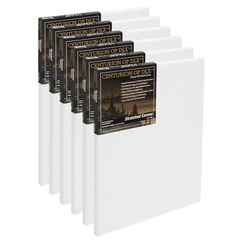 Centurion Deluxe Professional Oil Primed Linen Stretched Canvas, 11oz Linen, 20x24 - Box of 6, 0.67" Deep Canvases, Kiln-Dried Stretchers, Back Stapled, Premium Medium Weight Canvas for Oil Paintings - size: 20"x24"