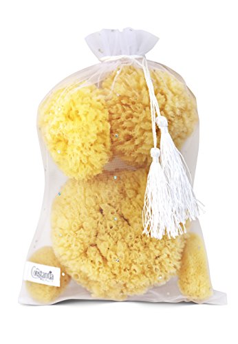 Natural Sea Sponge 5pk Spa Gift Set Bath Shower & Facial Care, Premium Bag | 5 assorted sizes for bath, shower & face. Hypoallergenic, kind on skin. Gift for moms, brides & teens. Comes in premium bag. - style: 5 Piece set in bag