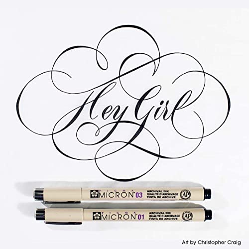SAKURA Pigma Micron Fineline Ass't Point Sizes, Archival All Black Ink, 16 PK 50077 | Archival Black Ink Pens for Writing, Drawing, or Journaling, Precise Points and Lines, Smooth Skip-Free Writing