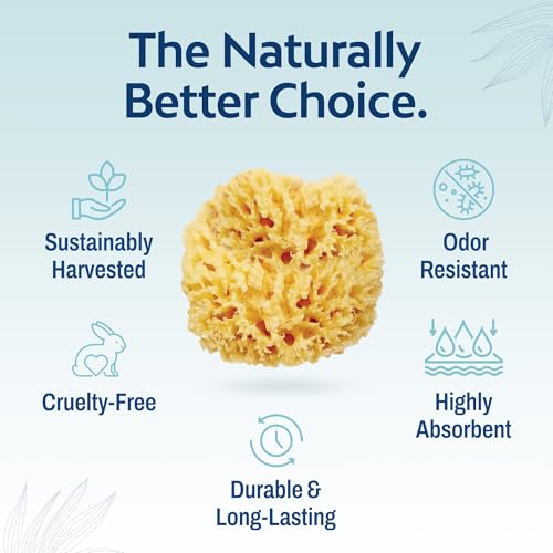 HartFelt Wool Sea Sponge Beauty Box for Delicate Skin | 2 Bath Sponges for Shower Women & Men 4 in | Natural Sponge with Mesh Bag for Cleaning & Drying | Chemical-Free Body Sponge Set - Gift Box - size: 1 Count (Pack of 2), style: Wool Sea Sponge