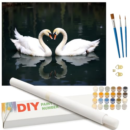 Animal Paint by Numbers Kit for Adults - DIY Pair of Swans Facing Each Other on Lake Painting on Rolled Canvas 16x20 Inches, Acrylic Paint Set for Beginners, Art for Home Decoration or Gifts - color: HSX01010, size: 16X20IN Rolled