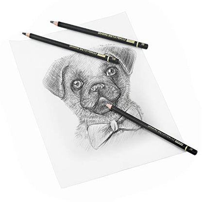 RVOGJP TAMATA Professional Drawing Sketching Pencil Set - 12 Pieces Art Graphite Pencils(12B - 4H), Ideal for Drawing Art, Sketching, Shading, for Beginners & Pro Artists