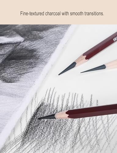 Professional Drawing Charcoal Pencils Set, 10 Piece Art Supplies with Soft Medium Hard for Sketching,Charcoal Art,Drawing Charcoal Pencils for Sketching,Art Supplies(soft 10 Piece)