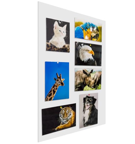 Foam Board 24 x 36 x 3/16"(5mm), Foam Core Board Sheets, White Poster Board | 12 Pack, Acid Free Foamboard, Rigid Sign Board for Mounting, Framing, Backing, Display, Presentation, Prints, Crafts & Art - size: 24x36 in 12 Pack
