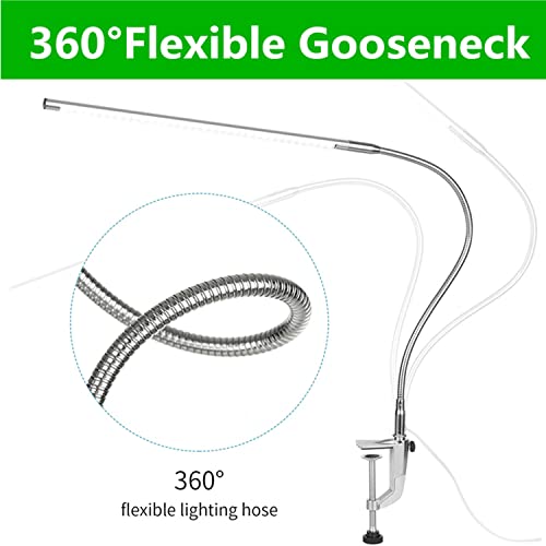 USB LED Desk Lamp, Adjustable Clip On Nail Lamp Light Eye Care Gooseneck 360° Swivel with Switch LED Clamp Light for Manicure Reading Tattoo - color: ‎Monochromatic Light