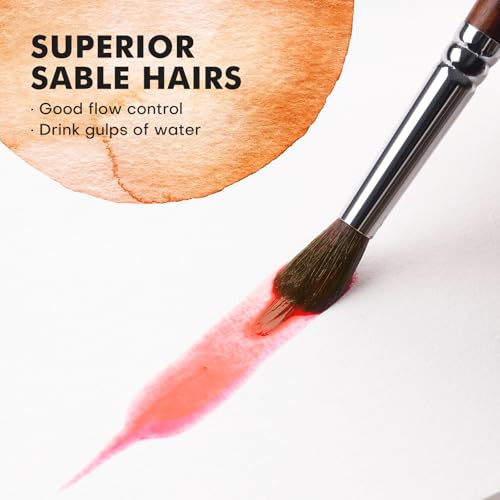 Watercolor Brushes Professional, Fuumuui 9pcs Sable Paint Brushes & Natural Squirrel Mop Brush Set with Extended Needle, Round Point, Flat, Dagger, Quill Wash for Watercolor Gouache Inks - color: Bronze