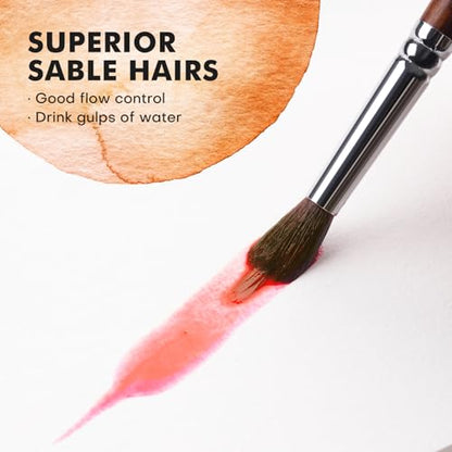 Watercolor Brushes Professional, Fuumuui 9pcs Sable Paint Brushes & Natural Squirrel Mop Brush Set with Extended Needle, Round Point, Flat, Dagger, Quill Wash for Watercolor Gouache Inks - color: Bronze