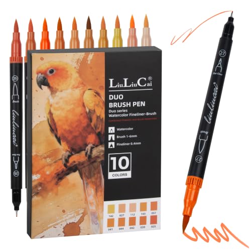 LIULIUCAI 10 Orange Dual Marker, Fine & Brush Tip Pen for Adult Coloring | Orange Markers, Artist Colored Pen for Autumn Art, Halloween Pumpkins, Citrus Fruits, Sunsets Illustration Journal - color: 10 Orange