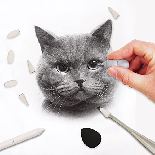 HIFORNY 38 PCS Sketch Drawing Tools - Blending Stumps and Tortillions Set Blending Tools with Art Sketch Wipe Scrapers,Rub Sponge,Kneaded Eraser and Sandpaper Sharpeners