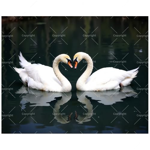 Animal Paint by Numbers Kit for Adults - DIY Pair of Swans Facing Each Other on Lake Painting on Canvas, Acrylic Paint Set, Suitable for Beginners, Art for Home Decoration or Gifts(12X16IN Framed) - color: HSX01010, size: 12X16IN Framed