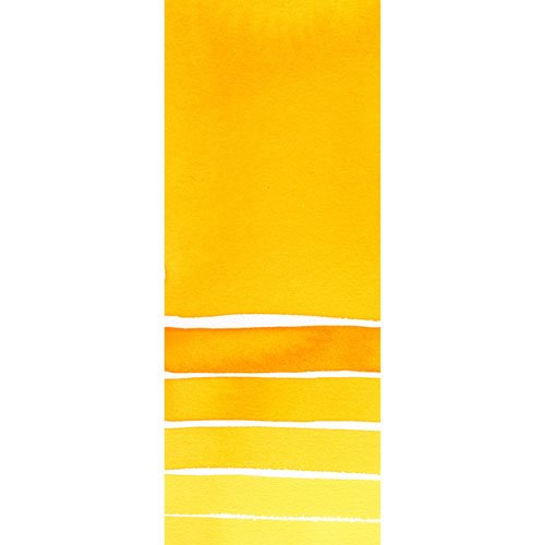 Daniel Smith Extra Fine Watercolor Paint, 5ml Tube, New Gamboge, 284610060, 0.17 Fl Oz (Pack of 1) - color: New Gamboge