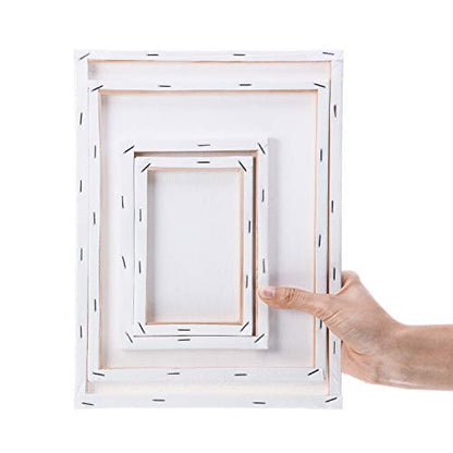 Hestya 12 Pcs Blank Canvas Painting 4 x 6/5 x 7/8 x 10/9 x 12 Inch | Pre-stretched Primed White Canvas, Acrylic Oil Paint Ready, Art Classroom Studio Supplies, Christmas Craft DIY Projects - size: 4 x 6 Inches/ 5 x 7 Inches/ 8 x 10 Inches/ 9 x 12