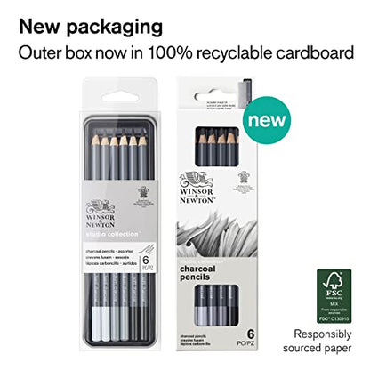 Winsor & Newton Studio Collection, 6 Count, Charcoal Pencils | Mixed Grade Charcoal Pencils, Wooden Barrels, On-The-Go Tin, High Quality Core Binder, Break-Resistant Cores & Points - style: 6 Charcoal Pencils
