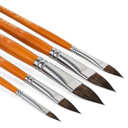 5 Pcs Cats Tongue Watercolor Paint Brushes | Cat Tongue Paint Brush for Petals, Leaves, Watercolor and Acrylic Painting - style: Cats Tongue