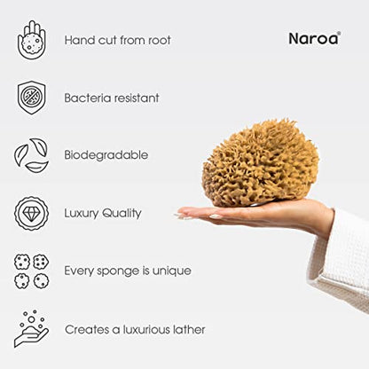 Naroa Soft Natural Sponge Large | Gentle Sea Loofah for Bathing Smooth Skin | Unbleached Shower Body Scrubber Puff | Bath & Spa (L)