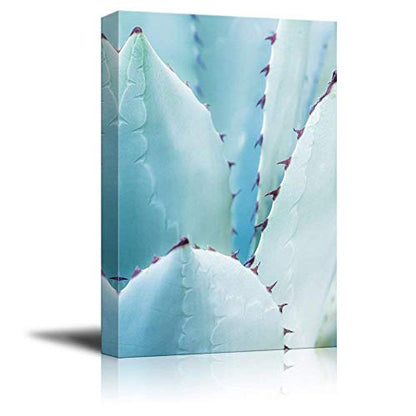 wall26 Canvas Wall Art - Closeup of a Blue Succulent Plant with Spikes - Giclee Print Gallery Wrap Modern Home Art Ready to Hang - 12x18 inches - color: Artwork - 03, size: 18"L x 12"W