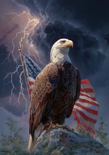 Milila Diamond Art Kits for Adults Full Drill Diamond Painting Kit(Eagle) - color: Eagle