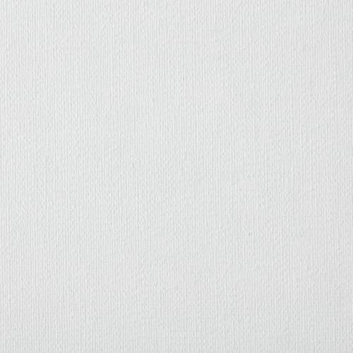 Centurion Deluxe Professional Oil Primed Linen Stretched Canvas, 11oz Linen, 8x10 - Box of 6, 0.67" Deep Canvases, Kiln-Dried Stretchers, Back Stapled, Premium Medium Weight Canvas for Oil Paintings - size: 8"x10"