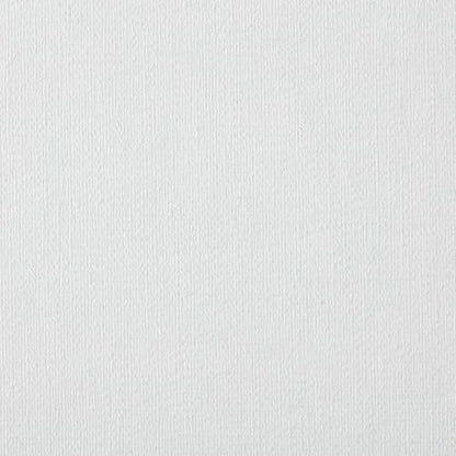 Centurion Deluxe Professional Oil Primed Linen Stretched Canvas, 11oz Linen, 10x10 - Box of 6, 0.67" Deep Canvases, Kiln-Dried Stretchers, Back Stapled, Premium Medium Weight Canvas for Oil Paintings - size: 10"x10"