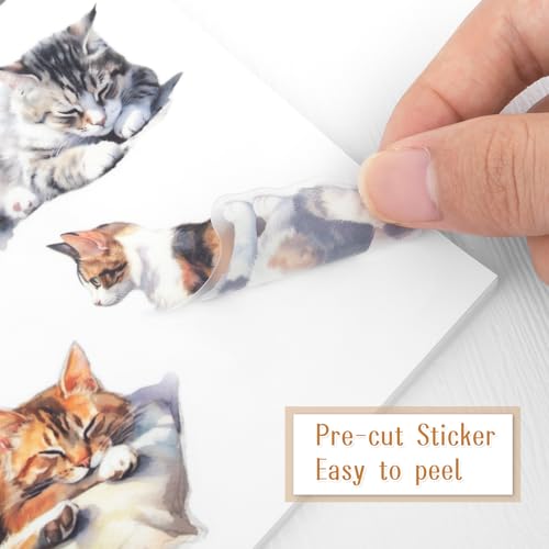 Dizdkizd Coffee and Pet Journaling Stickers for Women, 184 Die Cuts PET and Paper Scrapbook Sticker Kit, Cute Cats and Girl Sticker for Bullet Journals, Planners, Collage - color: Coffee