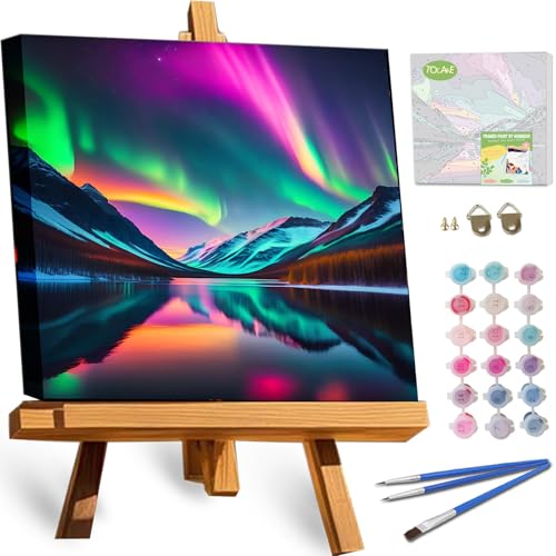 TOCARE Framed Paint by Numbers Kit for Adults Beginners,12x12inch Easy Aurora Paint by Number with Frame,Northern Lights Paint by Numbers Framed Canvas(Without Easel) - color: TC-F-226