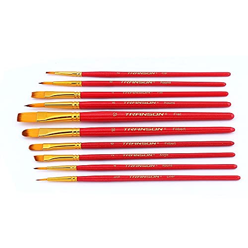 Transon 20pcs Artist Painting Brush Set for Acrylic Watercolor Gouache Hobby Craft Face Rock Painting Hot Pink - color: Hot Pink