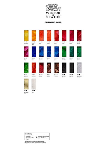 Winsor & Newton Drawing Ink, 30ml Bottle, Silver | Fast-drying, transparent & water-resistant; Outstanding Color Brilliance; Perfect for brush, dip pen, airbrush applications. - color: Silver, style: 30ml Bottle