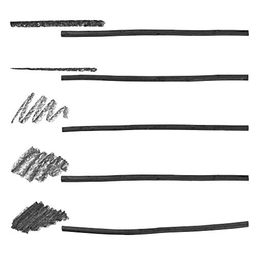 Pacific Arc Artist Vine Charcoal, Medium, Black 4 Charcoal Sticks for Drawing, Sketching, and Fine Art - style: Medium | 4 Sticks