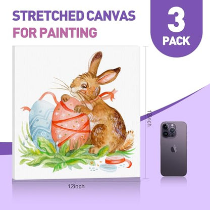 ESRICH Stretched Canvas for Painting 12x12 Inch, 3 Pack Square Painting Canvas -5/8 in Profile Primed Cotton White Blank Canvases for Painting for Oil & Acrylic Paint - size: 12x12in