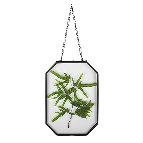 NCYP Octagon Double Glass Floating Frame for Pressed Dried Flowers, Photoes Poster - Wall Hanging Brass Herbarium, Black 5x7 inches, Home Vertical Decor (Glass Frame Only) - color: Black, size: 5x7inches
