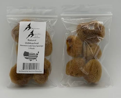 5 Unbleached Natural Hermit Crab Sea Sponges Water Dish Humidity Habitat | Natural hydration Reusable Climbing surface Shelter Enrichment Highly absorbent Long lasting Chemical free Water Safety - size: UnBleached 5 Pk