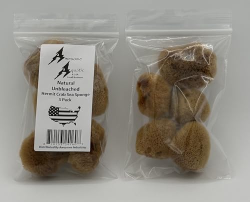 5 Unbleached Natural Hermit Crab Sea Sponges Water Dish Humidity Habitat | Natural hydration Reusable Climbing surface Shelter Enrichment Highly absorbent Long lasting Chemical free Water Safety - size: UnBleached 5 Pk