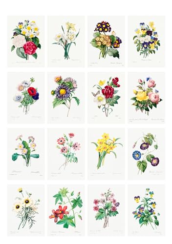 Decoupage Paper Pack (35 Sheets 6"x8") Incredible Illustrations of Wild Flowers in Bunches FLONZ Vintage Illustration Pictures Cards for Decoupage, Craft and Scrapbooking - color: Fourteen