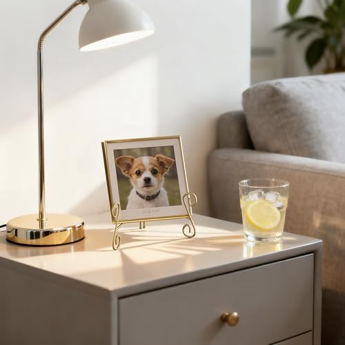 Gold Plate Stand, 6 Inch Decorative Holder for Displaying Platters, Heavy-Duty Metal Easel Stand for Picture, Photo Frame, Books and Round Objects