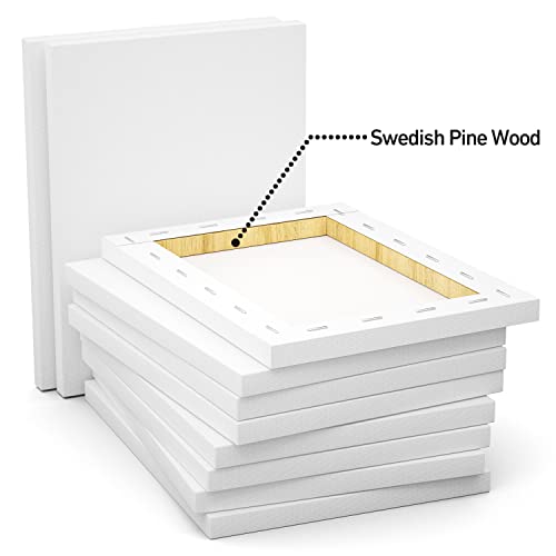 GOTIDEAL Stretched Canvas, 8x10 Inch Set of 10, Primed White - color: White, size: 8"x10"