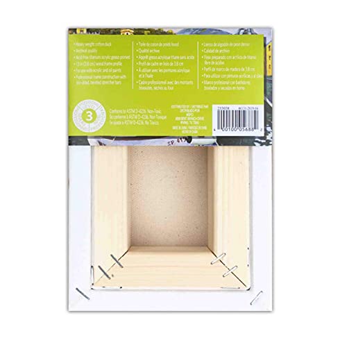 Artist's Loft Level 3 Gallery Wrapped Heavy Duty Canvas - size: 5 x 7