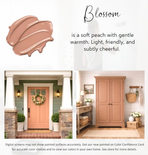 ALL-IN-ONE Paint by Heirloom Traditions, Blossom, 8oz Sample - color: Blossom, size: 8 Fl Oz (Pack of 1)