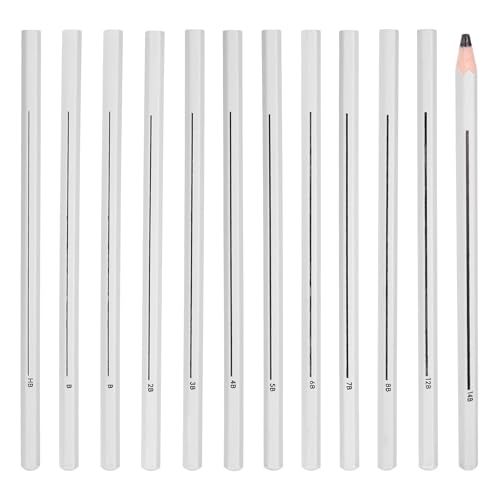 PATIKIL HB/B/2B/4B/6B/8B Graphite Pencils for Drawing, 12Pcs Sketching Pencils Wood Supplies Set Break-Resistant Lead with Built-in Sharpening Area for Painting Sketching Artist Design - style: HB/B/2B/4B/6B/8B