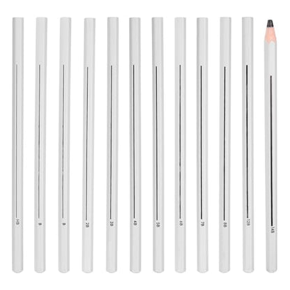 PATIKIL HB/B/2B/4B/6B/8B Graphite Pencils for Drawing, 12Pcs Sketching Pencils Wood Supplies Set Break-Resistant Lead with Built-in Sharpening Area for Painting Sketching Artist Design - style: HB/B/2B/4B/6B/8B