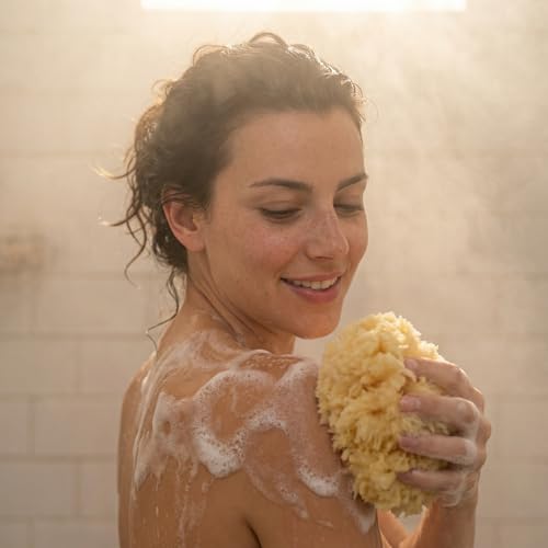 Natural Sea Wool Sponges 2pk, 6"-7" Body Sponge + 3"-4" Facial, Bath & Face | Softest sea sponge variety. Sustainably harvested & hypoallergenic. Perfect body + face set, gift-ready in a drawstring bag.
