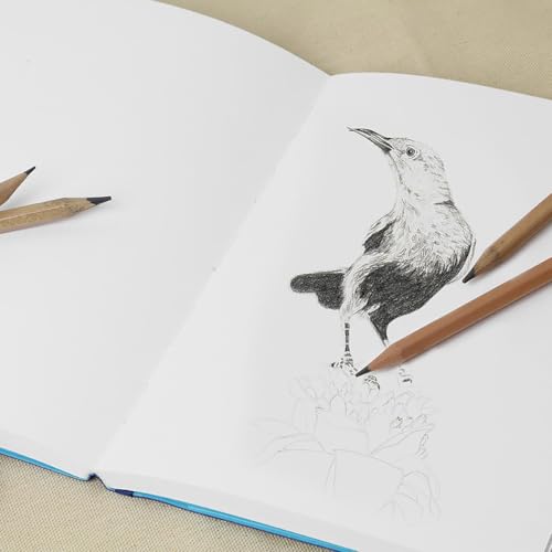 Pro Art Premier Sketch Book Travel 6"x 4" White 74lb Royal Blue 80 Sheets, Sketch Book, Sketchbook, Drawing Pad, Pad, Drawing Paper, Art Book, Paper, Sketchbook for - color: 4x6 Royal Blue