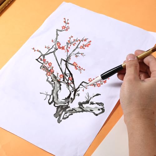 Chinese Painting Brushes Set, 3 Sizes Chinese Calligraphy Brush Set Flower Bird Line-Drawing Brushes Writing Brush, Painting with Bamboo Pen Holder, Traditional Art Sumi