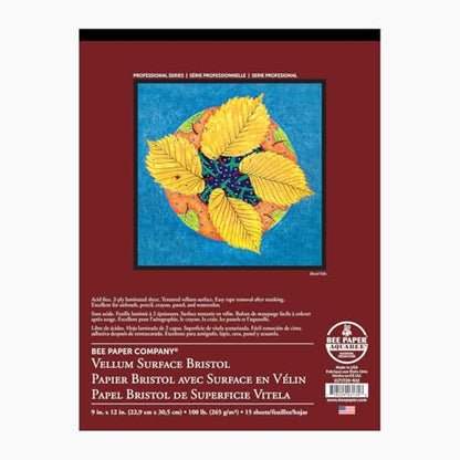 Bee Paper Company BEE-1171T20-1924 Vellum Bristol 2-Ply Vellum Bristol Paper Pad - size: 19-inch x 24-inch, 15 Sheet Tape Bound Pad