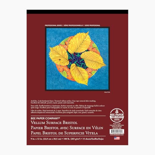 Bee Paper Vellum Bristol Pack, 14-Inch by 22-Inch, 100 Sheets per Pack