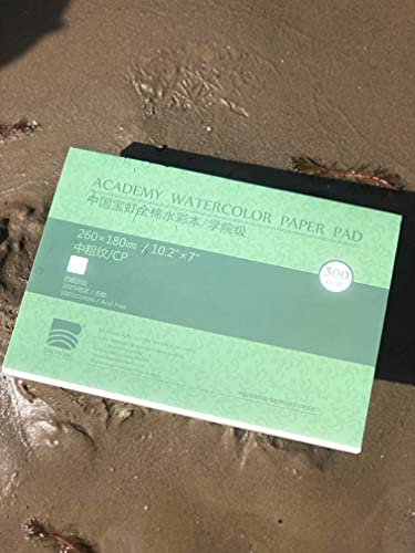 BAOHONG Academy Grade Watercolor Block, 100% Cotton, Acid-Free, 140LB/300GSM, Cold Press Textured, 20 Sheets per Block (Cold Press 7" X10.2“) - size: Cold Press 7" x 10.2"