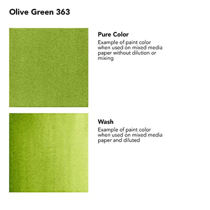 Daler-Rowney FW Acrylic Artists Ink, 1 oz, Olive Green (160029363) - color: Olive Green
