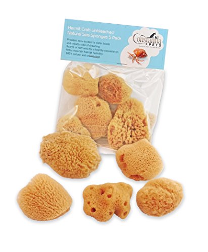 Natural Sea Sponges Hermit Crabs 5 Pack Unbleached, Drinking Aquarium Decor